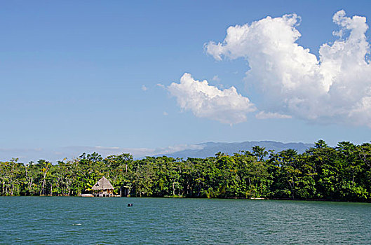 soi cau bach rong kim