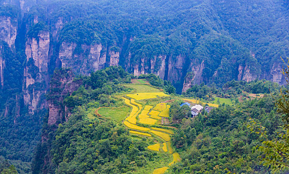 xổ sô