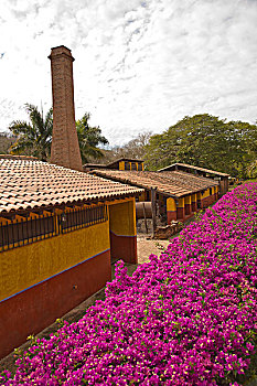 xổ số lâm đồng