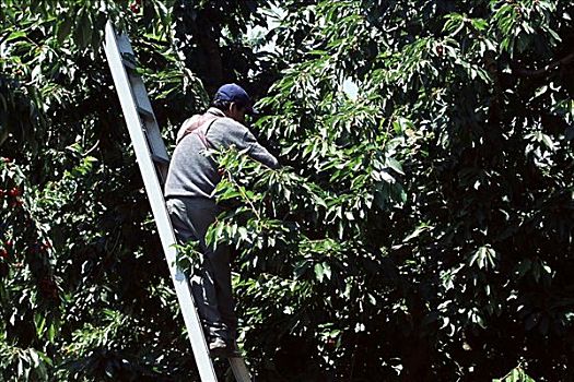 xổ số miền nam ba đài hôm nay