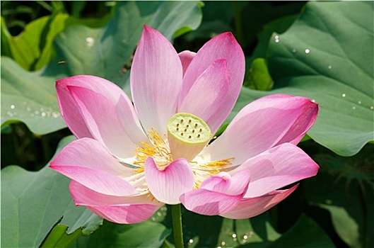 xổ số miền nam ngày