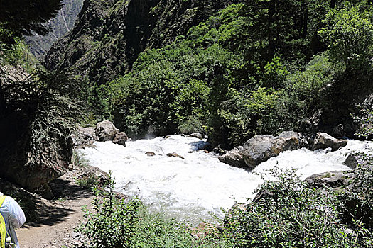 sỗ mien bac