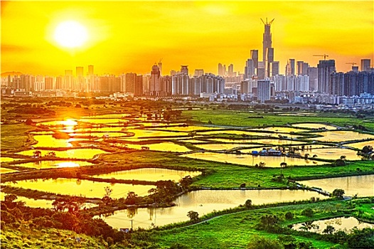 2888 soi cau