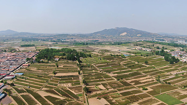 xổ số miền bac hôm nay