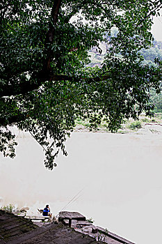 cau bach thu 247 com