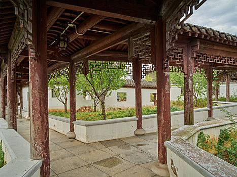 bạch thủ đề hôm nay